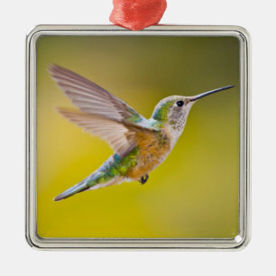 USA, Colorado, Summit Landkreis, Heeney. Seitenans Ornament Aus Metall