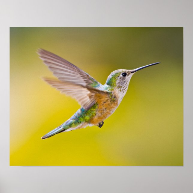 USA, Colorado, Summit Landkreis, Heeney. Seitenans Poster (Vorne)