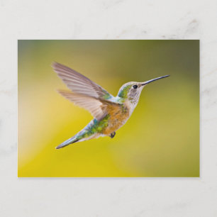 USA, Colorado, Summit Landkreis, Heeney. Seitenans Postkarte