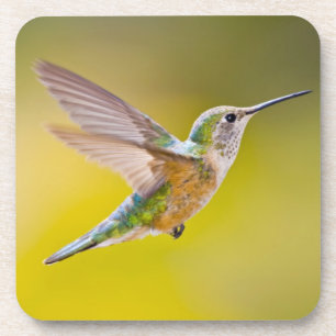 USA, Colorado, Summit Landkreis, Heeney. Seitenans Untersetzer