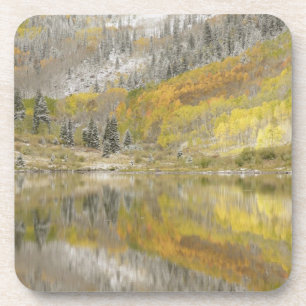 USA, Colorado, White River National Forest, 2 Untersetzer