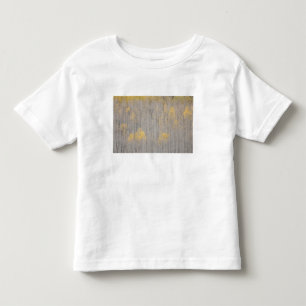USA, Colorado, White River National Forest. Kleinkind T-shirt