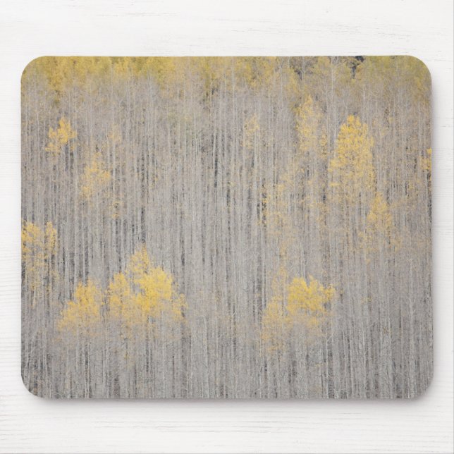 USA, Colorado, White River National Forest. Mousepad (Vorne)