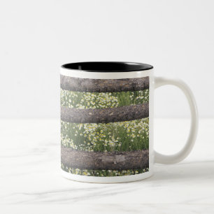 USA, Colorado, Wild Chamomile rund um den Holzzaun Zweifarbige Tasse