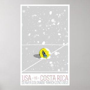USA / Costa Rica Poster
