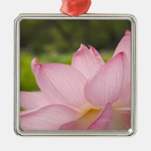 USA, DC, Washington, Kenilworth Aquatic 2 Ornament Aus Metall