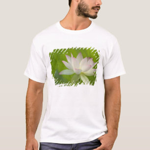 USA, DC, Washington, Kenilworth Aquatic T-Shirt