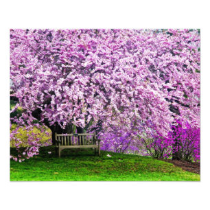 USA, Delaware, Wilmington. Holzbank unter Fotodruck
