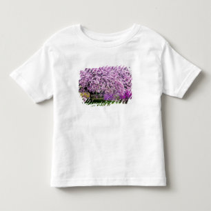 USA, Delaware, Wilmington. Holzbank unter Kleinkind T-shirt