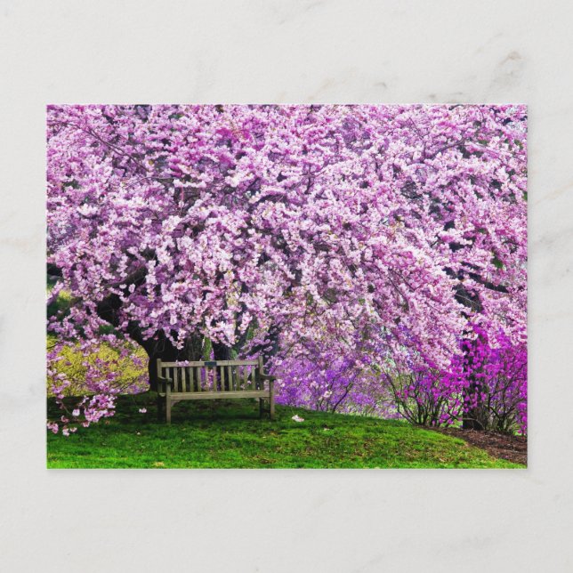 USA, Delaware, Wilmington. Holzbank unter Postkarte (Vorderseite)