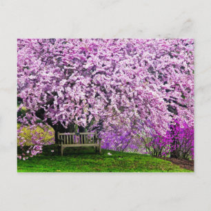 USA, Delaware, Wilmington. Holzbank unter Postkarte