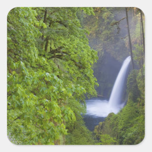 USA, Eagle Creek, Columbia Gorge, Oregon. 2 Quadratischer Aufkleber
