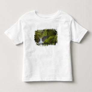 USA, Eagle Creek, Columbia Gorge, Oregon. 3 Kleinkind T-shirt