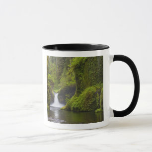USA, Eagle Creek, Columbia Gorge, Oregon.3 Tasse