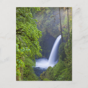USA, Eagle Creek, Columbia Gorge, Oregon. Postkarte