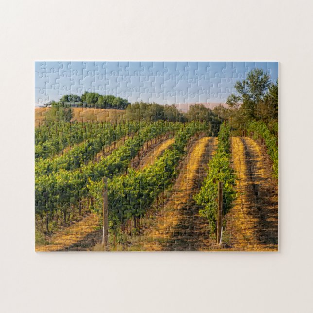 USA, Eastern Washington, Walla Walla Puzzle (Horizontal)