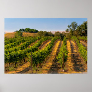 USA, Eastern Washington, Walla Walla Vineyards Poster