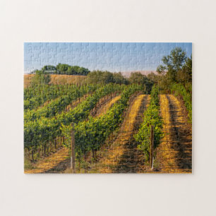 USA, Eastern Washington, Walla Walla Weinberge Puzzle