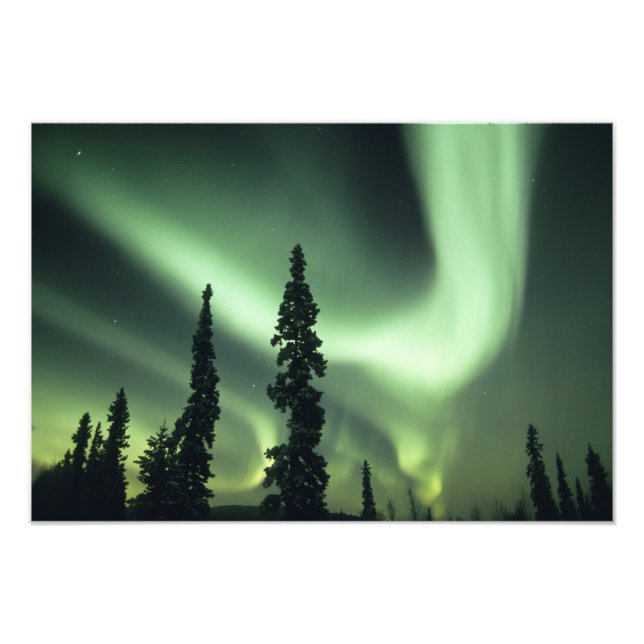USA, Fairbanks area, Central Alaska, Aurora 2 Fotodruck (Vorne)