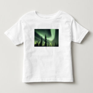 USA, Fairbanks area, Central Alaska, Aurora 2 Kleinkind T-shirt