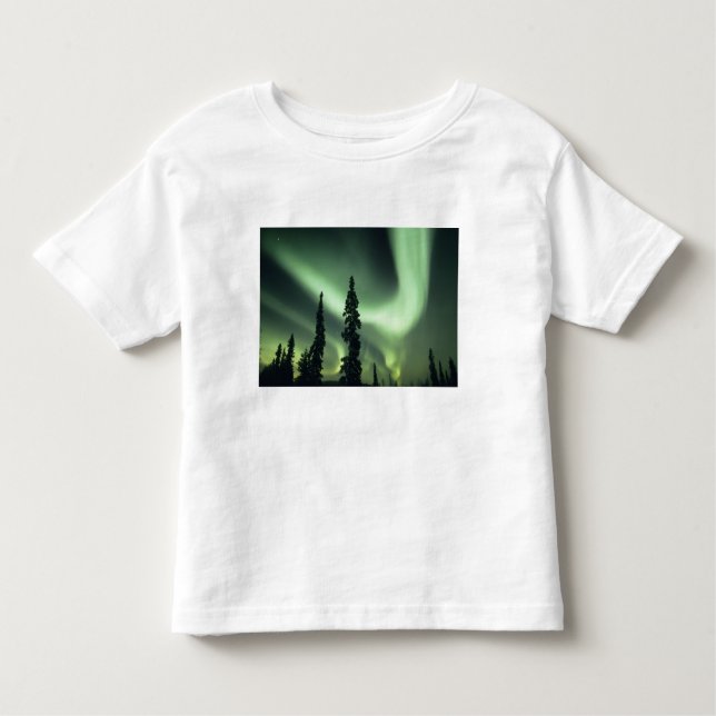 USA, Fairbanks area, Central Alaska, Aurora 2 Kleinkind T-shirt (Vorderseite)