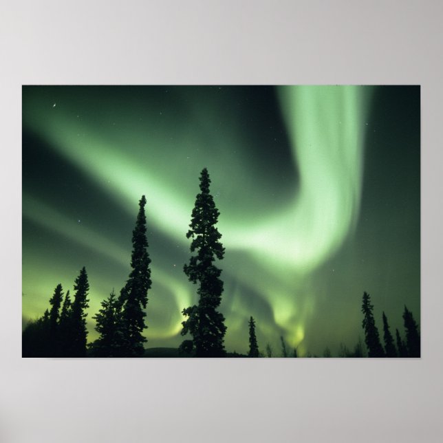 USA, Fairbanks area, Central Alaska, Aurora 2 Poster (Vorne)