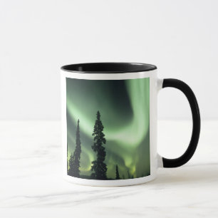 USA, Fairbanks area, Central Alaska, Aurora 2 Tasse