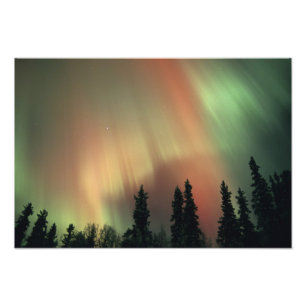 USA, Fairbanks area, Central Alaska, Aurora 3 Fotodruck