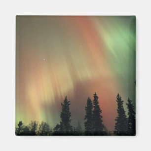 USA, Fairbanks area, Central Alaska, Aurora 3 Magnet
