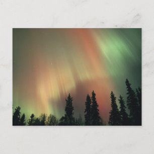 USA, Fairbanks area, Central Alaska, Aurora 3 Postkarte