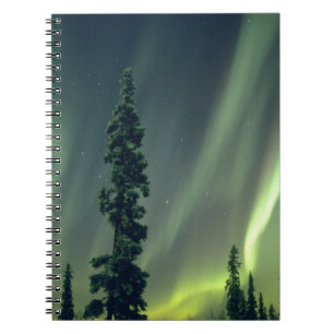 USA, Fairbanks area, Central Alaska, Aurora Notizblock