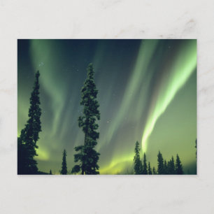 USA, Fairbanks area, Central Alaska, Aurora Postkarte