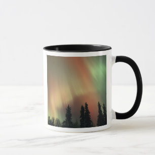 USA, Fairbanks-Gebiet, Zentral-Alaska, Aurora 3 Tasse