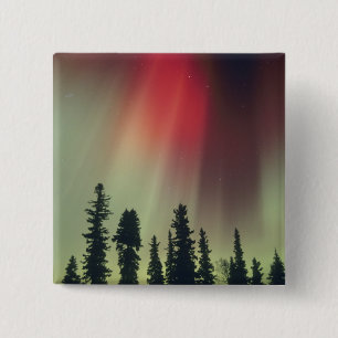 USA, Fairbanks-Gebiet, Zentralalaska, Aurora Button