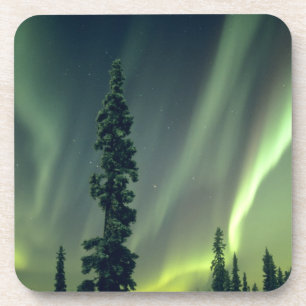USA, Fairbanks-Gebiet, Zentralalaska, Aurora Getränkeuntersetzer
