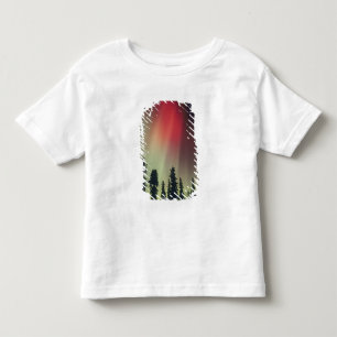 USA, Fairbanks-Gebiet, Zentralalaska, Aurora Kleinkind T-shirt