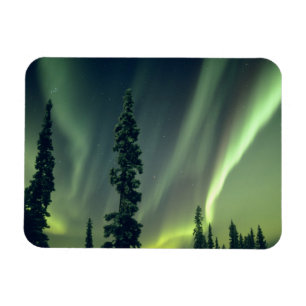 USA, Fairbanks-Gebiet, Zentralalaska, Aurora Magnet