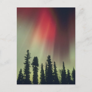 USA, Fairbanks-Gebiet, Zentralalaska, Aurora Postkarte