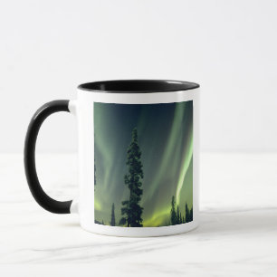 USA, Fairbanks-Gebiet, Zentralalaska, Aurora Tasse