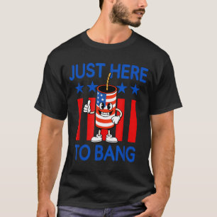 Usa Feuerwerk patriotischer Humor hier nur um zu k T-Shirt