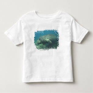USA, FL, Manatee Kleinkind T-shirt