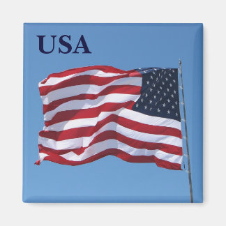 USA Flag Magnet! Magnet