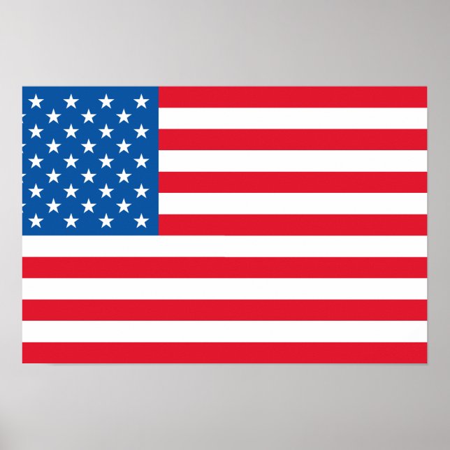 USA Flag US Flagge Poster (Vorne)
