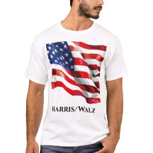 USA flagge Harris/Walz