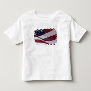 USA-Flagge, North Carolina, USA Kleinkind T-shirt