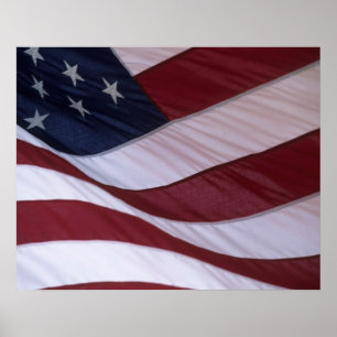 USA-Flagge, North Carolina, USA Poster