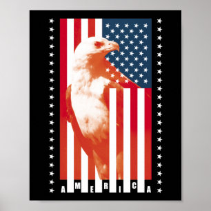 USA Flagge und Adler Poster