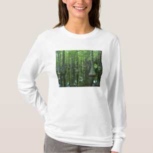 USA, Florida, Apalachicola National Forest, Kahl T-Shirt