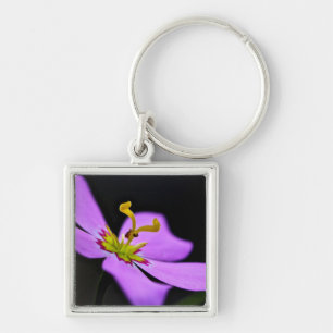 USA, Florida, Big Cypress National Reserve Schlüsselanhänger