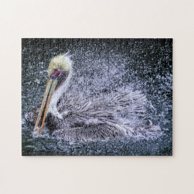 USA, Florida. Brown Pelican Puzzle (Horizontal)